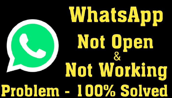 Whatsapp not working